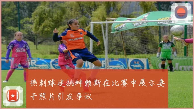 热刺球迷挑衅赖斯在比赛中展示妻子照片引发争议